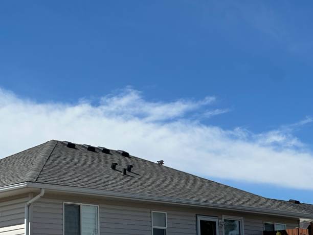 Best Skylight Installation and Repair  in Diamond Springs, CA
